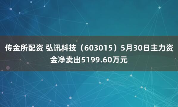 传金所配资 弘讯科技（603015）5月30日主力资金净卖出5199.60万元